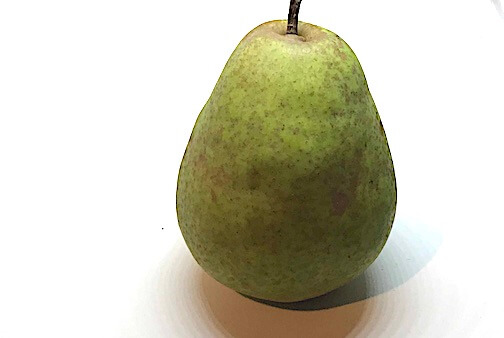 Birnensorte Köstliche von Charneux von Elbe-Obst aus dem Alten Land