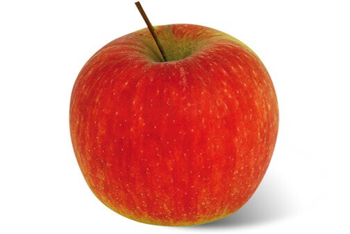 Apfelsorte Ambassy von Elbe-Obst aus dem Alten Land