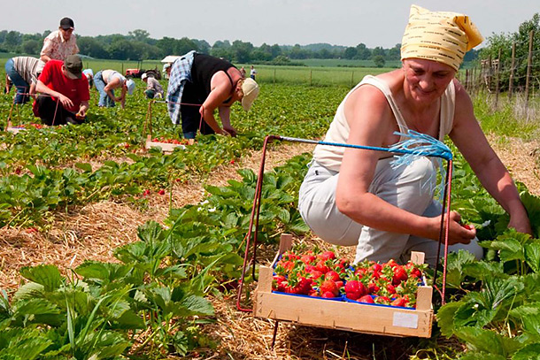 Familie Köpcke aus Lühe
