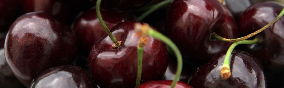 Kirschen von Elbe-Obst aus dem Alten Land