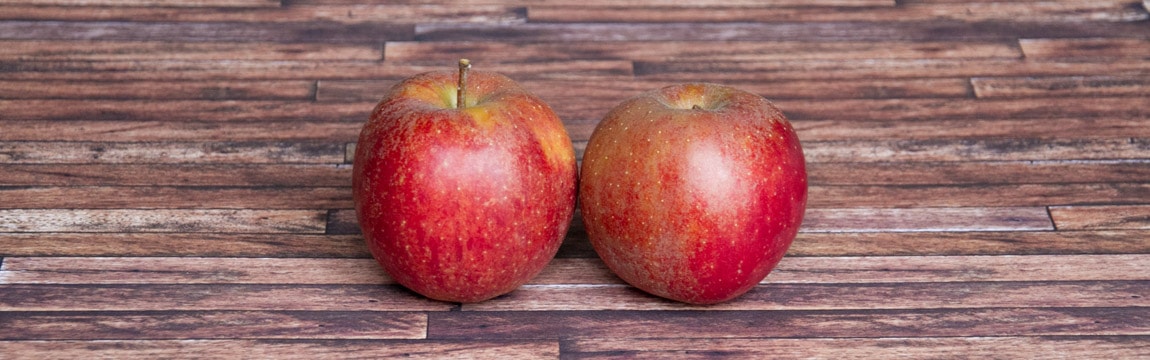 Apfelsorte Boskoop von Elbe-Obst aus dem Alten Land