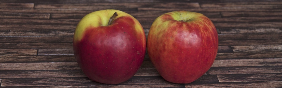 Apfelsorte Jonagold von Elbe-Obst aus dem Alten Land