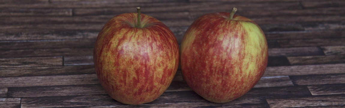 Apfelsorte Jonagored von Elbe-Obst aus dem Alten Land