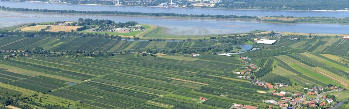 Luftaufnahme Altes Land mit Elbe und Elbe-Obst Plantagen