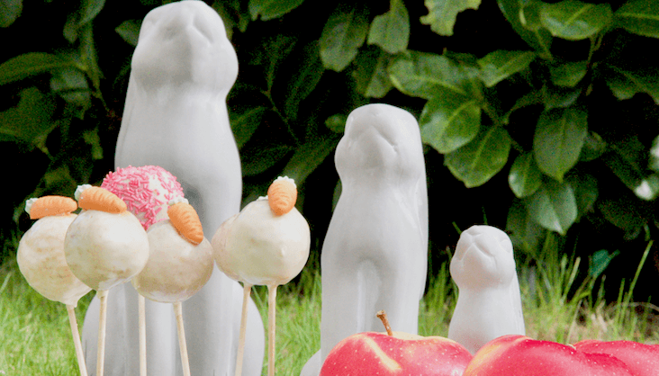 Karotten-Apfel-Cakepops von Elbe-Obst