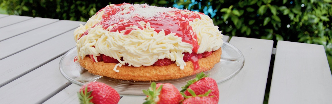 Rezept Spagettikuchen mit frischen Erdbeeren Elbe-Obst